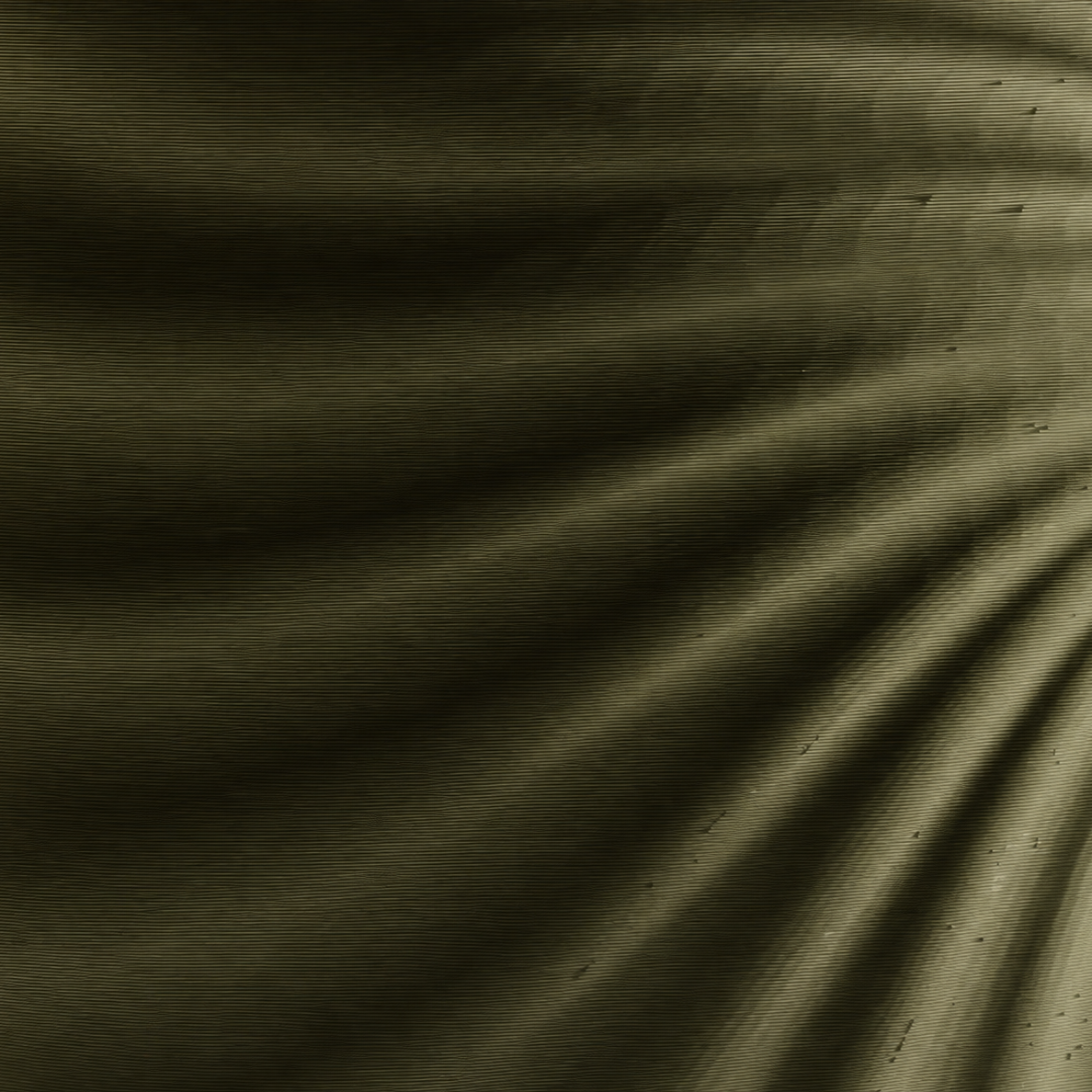 Conchiglia - Vaso design