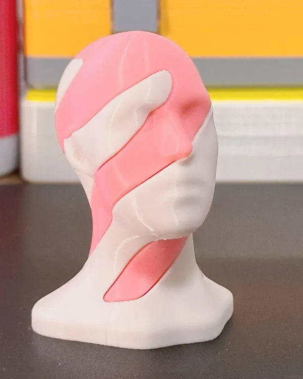 L’altro Volto™- Scultura artistica