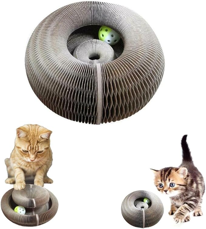 Micio Roll – Gioco Interattivo per Gatti