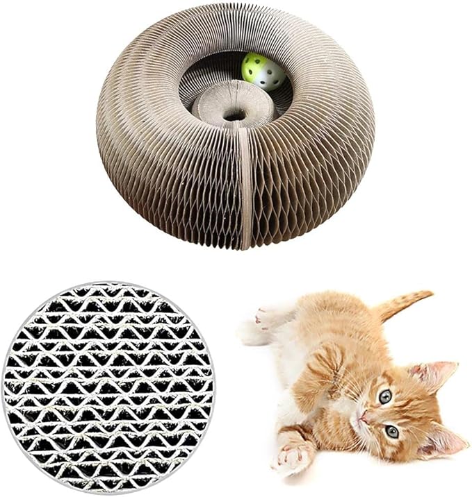 Micio Roll – Gioco Interattivo per Gatti